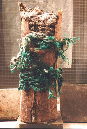 CITY TREE - 1995 - bark, cement, green fishing net - height 90 cm. Sacrificed to the city  